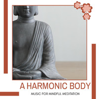Serenity Calls - A Harmonic Body - Music for Mindful Meditation