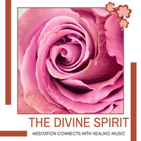 Serenity Calls - The Divine Spirit - Meditation Connects with Healing Music