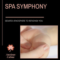 Healed Terra - Spa Symphony - Sedated Atmosphere to Replenish You