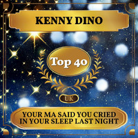 Kenny Dino - Your Ma Said You Cried in Your Sleep Last Night (Billboard Hot 100 - No 24)