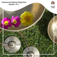 Pedro Dj - Experience the Relaxing Singing Bowl Melodies, Vol. 1