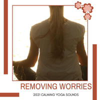 Mystical Guide - Removing Worries - 2021 Calming Yoga Sounds
