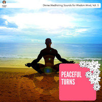 Steven Phillips - Peaceful Turns - Divine Meditating Sounds for Wisdom Mind, Vol. 5