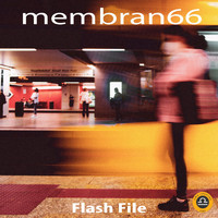 membran 66 - Flash File