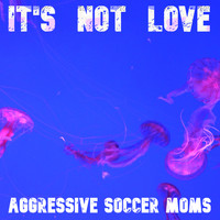 Aggressive Soccer Moms - It's Not Love