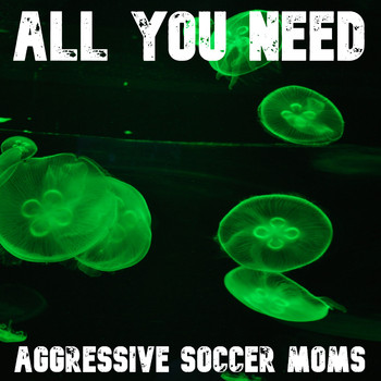 Aggressive Soccer Moms - All You Need