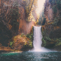 Elements of Nature - Tropical River