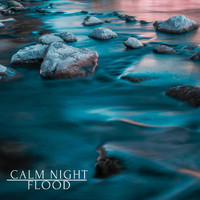 Nature Recordings - Calm Night Flood