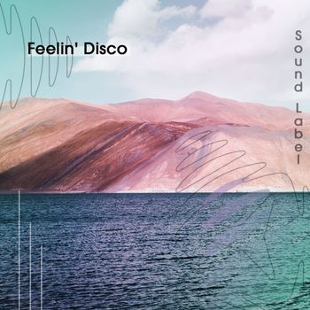 Various Artists - Feelin' Disco