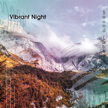 Various Artists - Vibrant Night