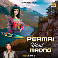 Shahid - Peamai Yaad Madno
