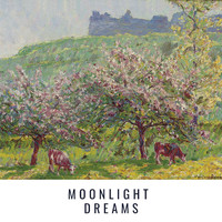Glenn Miller & His Orchestra - Moonlight Dreams
