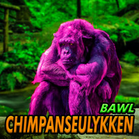 Bawl - Chimpanseulykken