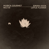 Sinan Kaya - Lotus Flower