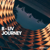 B-Liv - Journey