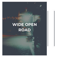 Johnny Cash - Wide Open Road