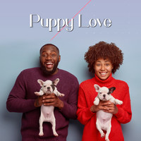 Piano Love Songs - Puppy Love