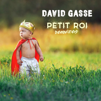 David Gasse - Petit Roi (Remixes)