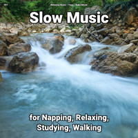 Relaxing Music & Yoga & Baby Music - #01 Slow Music for Napping, Relaxing, Studying, Walking