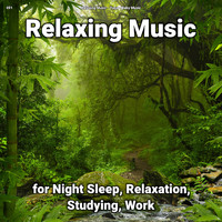 Relaxing Music & Yoga & Baby Music - #01 Relaxing Music for Night Sleep, Relaxation, Studying, Work