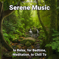 Relaxing Music & Yoga & Baby Music - #01 Serene Music to Relax, for Bedtime, Meditation, to Chill To