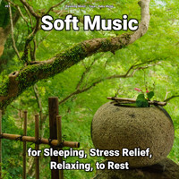 Relaxing Music & Yoga & Baby Music - #01 Soft Music for Sleeping, Stress Relief, Relaxing, to Rest