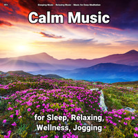 Sleeping Music & Relaxing Music & Music for Deep Meditation - #01 Calm Music for Sleep, Relaxing, Wellness, Jogging