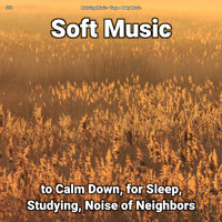 Relaxing Music & Yoga & Baby Music - #01 Soft Music to Calm Down, for Sleep, Studying, Noise of Neighbors