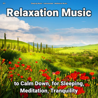 Sleeping Music & Instrumental & Meditation Music - #01 Relaxation Music to Calm Down, for Sleeping, Meditation, Tranquility