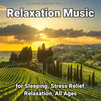 Sleeping Music & Relaxing Music & Music for Deep Meditation - #01 Relaxation Music for Sleeping, Stress Relief, Relaxation, All Ages