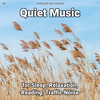 Relaxing Music & Yoga & Baby Music - #01 Quiet Music for Sleep, Relaxation, Reading, Traffic Noise