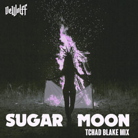 DeWolff - Sugar Moon (Tchad Blake Mix)