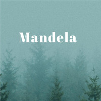 Brenda Fassie - Mandela