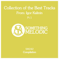 Igor Kalinin - Collection of the Best Tracks From: Igor Kalinin, Pt. 1