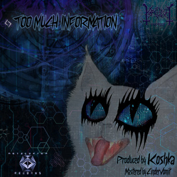 Koshka - Too Much Information