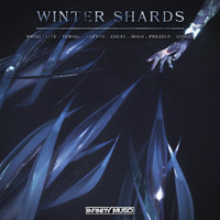 Infinity Music - Winter Shards