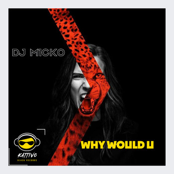 Dj M1cko - Why Would U