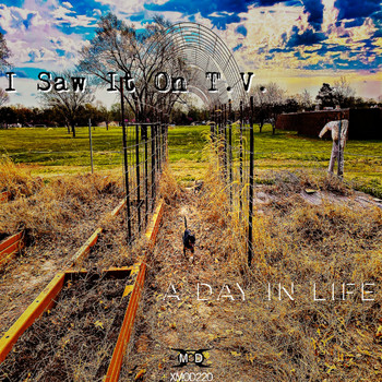 I Saw It On T.V. - A Day in Life