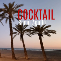 Romu Agulló - Cocktail