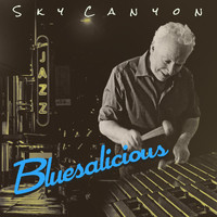 Sky Canyon - Bluesalicious (feat. Eric Gunnison, Ron Bland & Mike Marlier)
