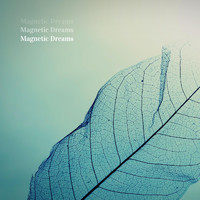 Magnetic Dreams - Landsort