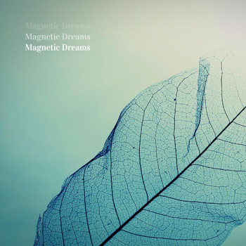 Magnetic Dreams - Landsort