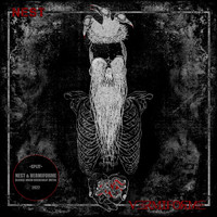 Nest & Vermiforme - Split (Explicit)