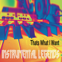 Instrumental Legends - Thats What I Want (In the Style of Lil Nas X) [Karaoke Version]