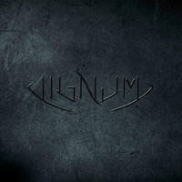 Lignum - Pobre Diablo (Versión 2)