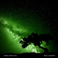Doc Landry - Wish for You