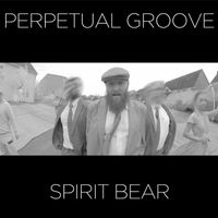 Perpetual Groove - Spirit Bear