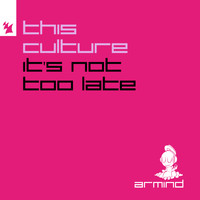 This Culture - It's Not Too Late