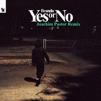 Brando - Yes or No (Joachim Pastor Remix)