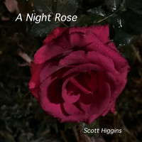 Scott Higgins - A Night Rose